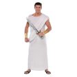 Adult Toga-Standard Costume Discount