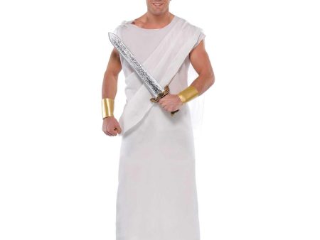 Adult Toga-Standard Costume Discount