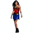 Adult Wonder Woman Superhero Costume Supply